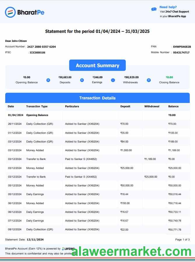 INDIA BHARATPE bank statement template, Word and PDF format